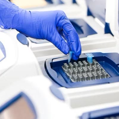 DNA Diagnostic Identification for Bacterial and Fungal Growth